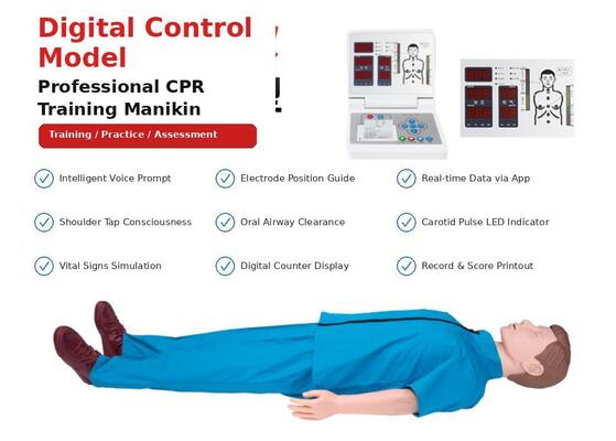 Corpo inteiro com monitor